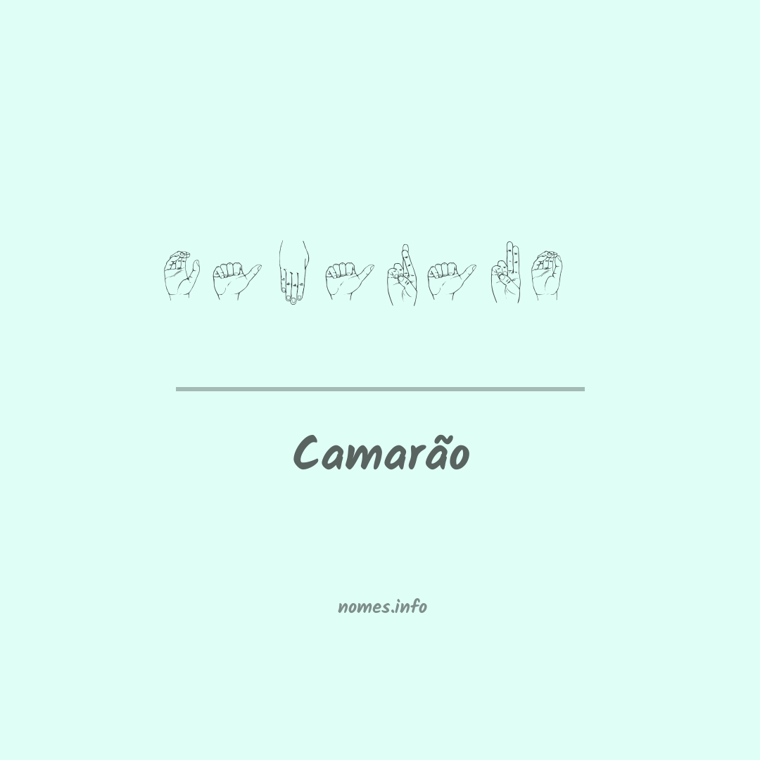 Camarão em Libras