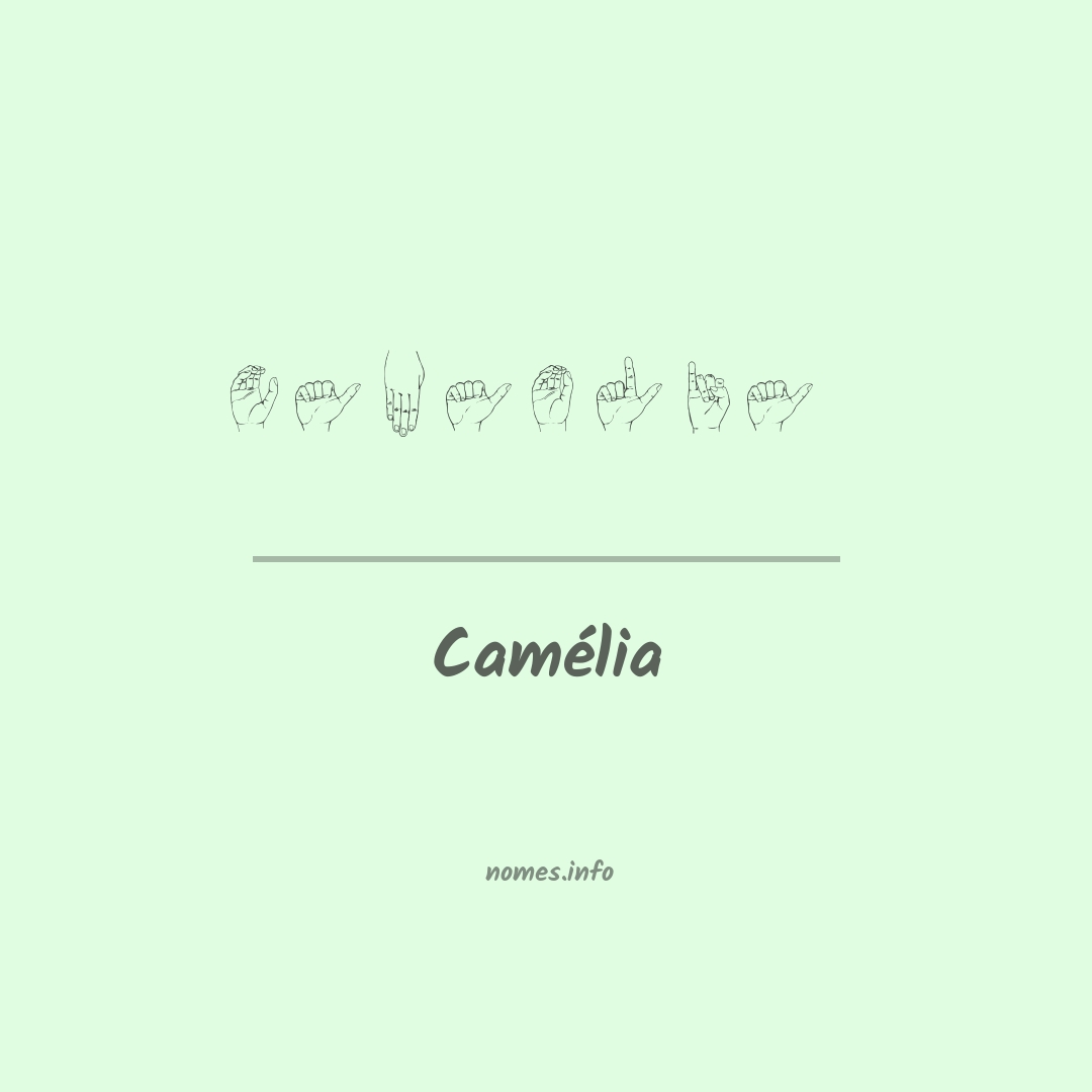 Camélia em Libras