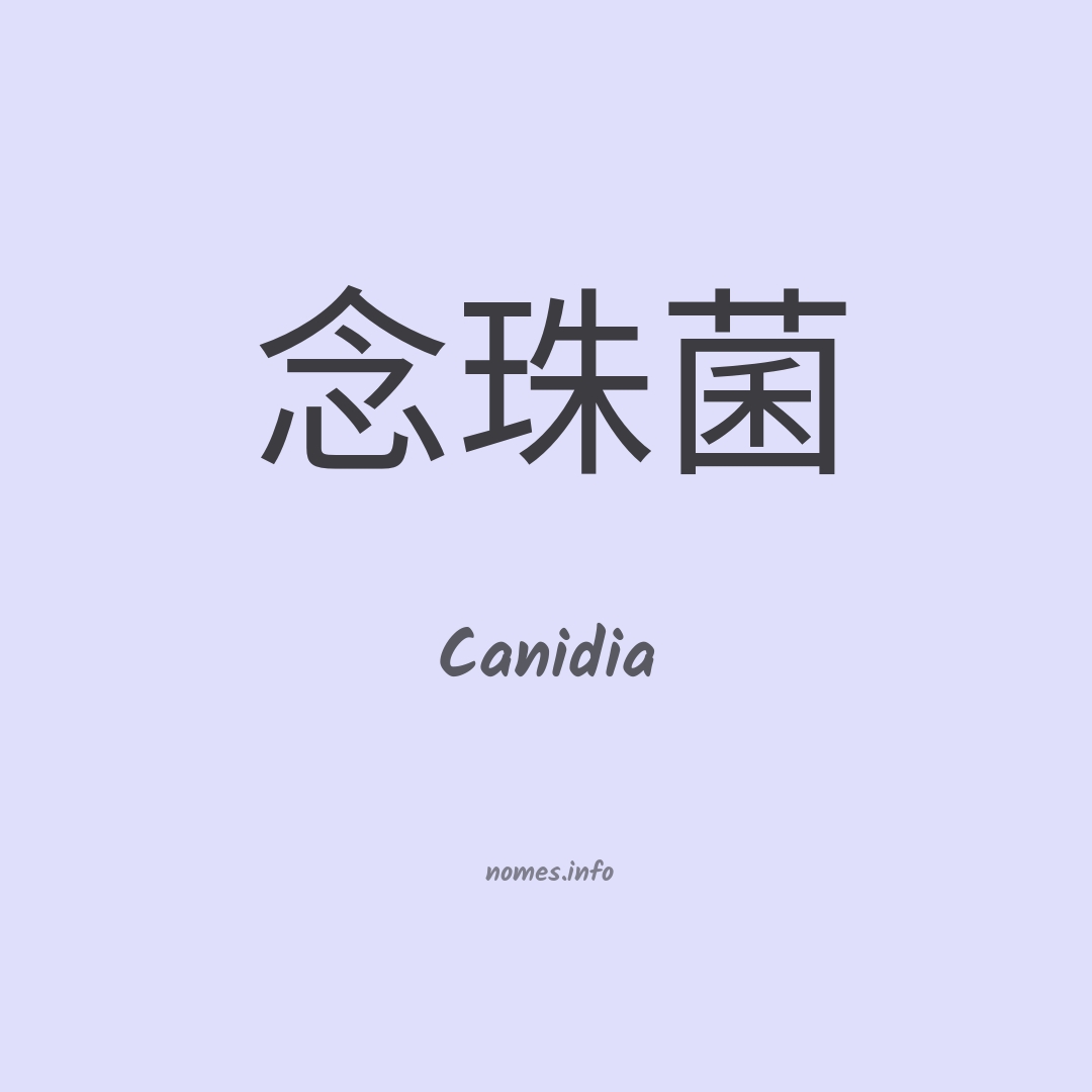 Canidia em chinês