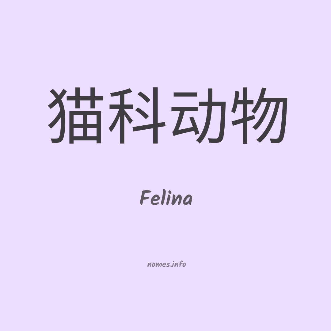 Felina em chinês