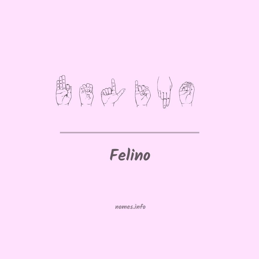 Felino em Libras